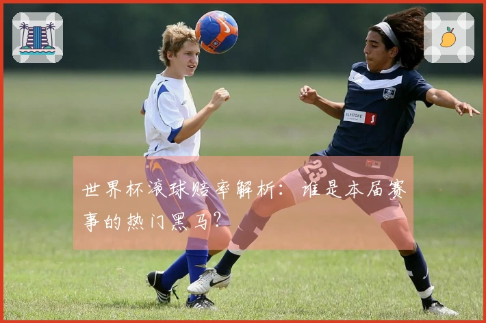 世界杯滚球赔率解析：谁是本届赛事的热门黑马？