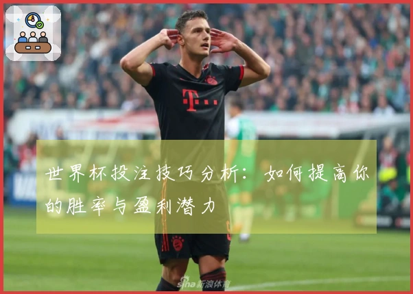 世界杯投注技巧分析：如何提高你的胜率与盈利潜力