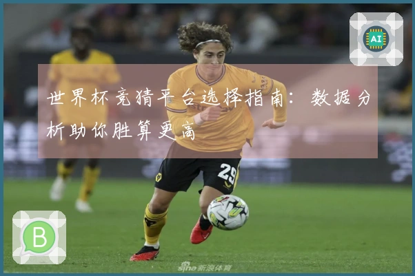 世界杯竞猜平台选择指南：数据分析助你胜算更高