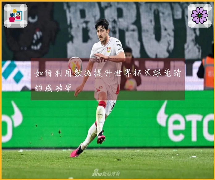 如何利用数据提升世界杯买球竞猜的成功率