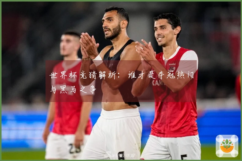 世界杯竞猜解析：谁才是夺冠热门与黑马之争