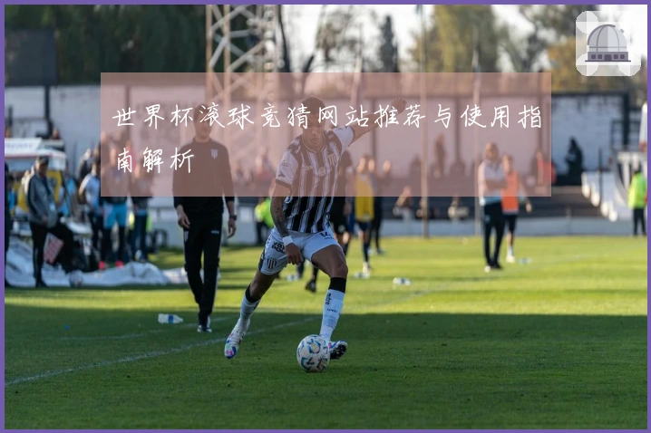 世界杯滚球竞猜网站推荐与使用指南解析