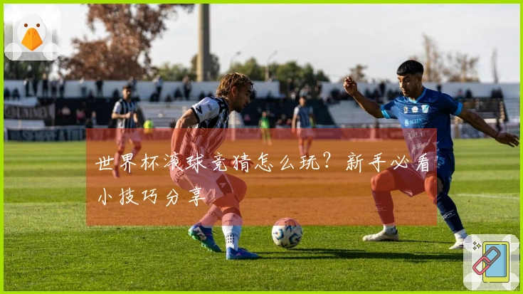 世界杯滚球竞猜怎么玩？新手必看小技巧分享