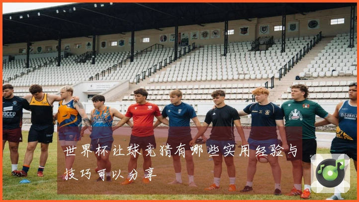世界杯让球竞猜有哪些实用经验与技巧可以分享