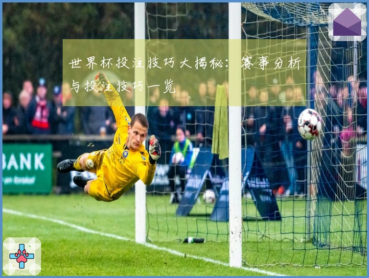 世界杯投注技巧大揭秘：赛事分析与投注技巧一览