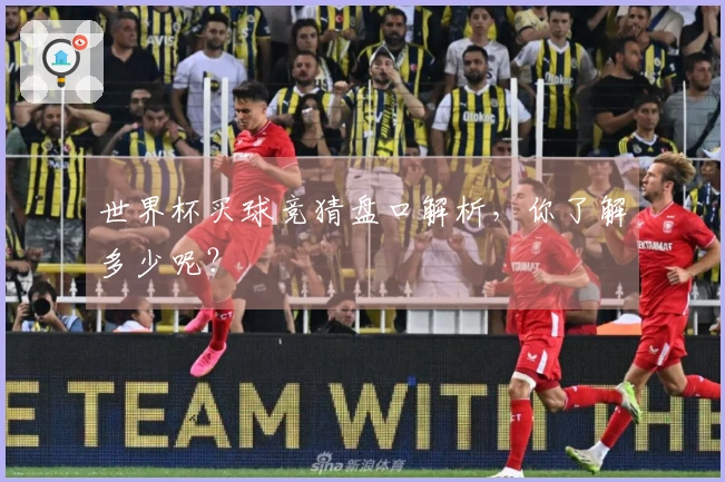 世界杯买球竞猜盘口解析，你了解多少呢？