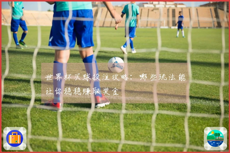 世界杯买球投注攻略：哪些玩法能让你稳稳赚取奖金