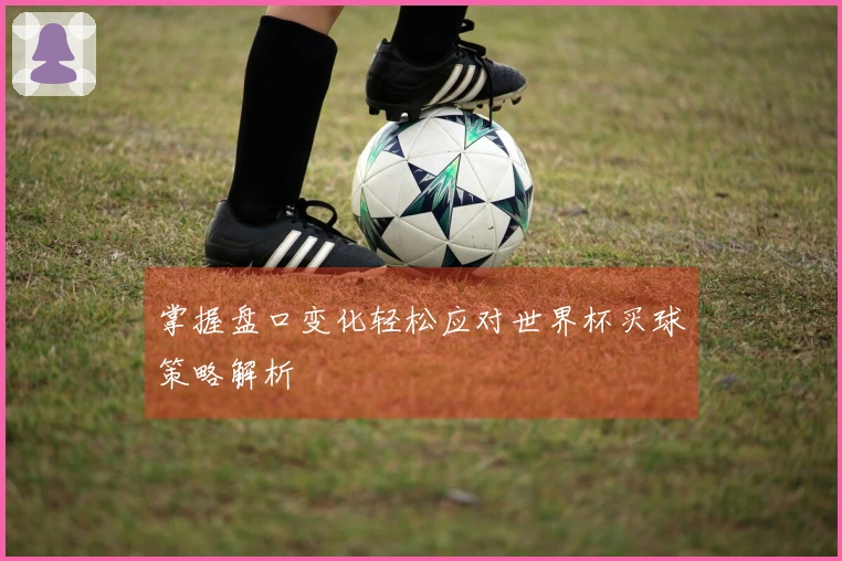 掌握盘口变化轻松应对世界杯买球策略解析